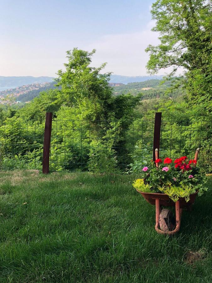 Dag Evi ,2 Oda, Lake View, Fireplace Jakuzi,6 Person Sapanca Kültér fotó